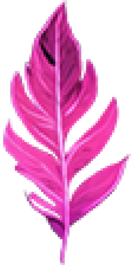 leaf5